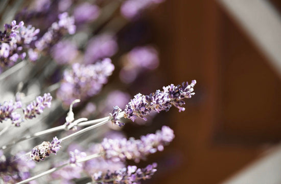 Uudet kauden hoidot saatavilla 1.2. alkaen